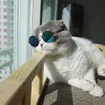 Баргуз