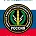 vaz13n636no