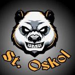 StaryyOskol