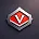 ViMeR